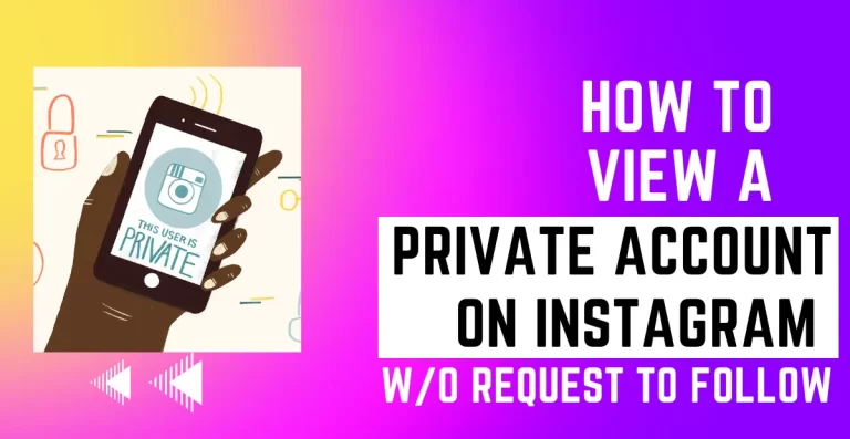How to see Instagram Private Account Post